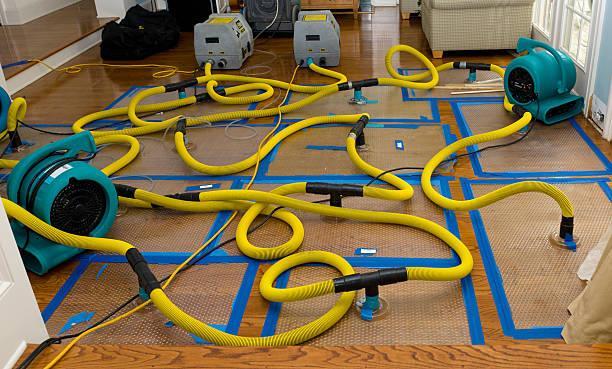 Professional Crawl Space Water Removal technician working in Saulsbury, TN